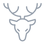 Lorem ipsum dolor sit amet, consectetur adipiscing elit.